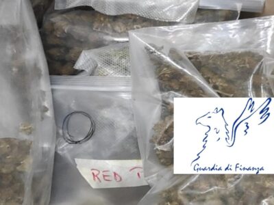 Roma Canapa Shop